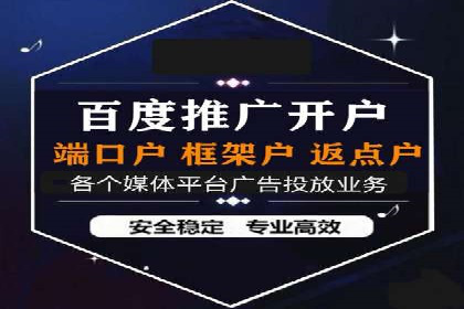 SEM托管公司案例分析：实战技巧全解析